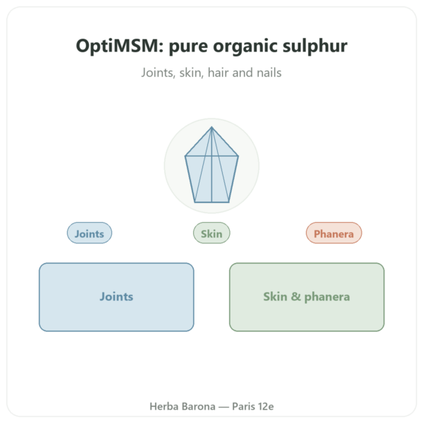 OptiMSM® – Dynveo – 750mg – 180 Capsules presentation Paris Herba Barona