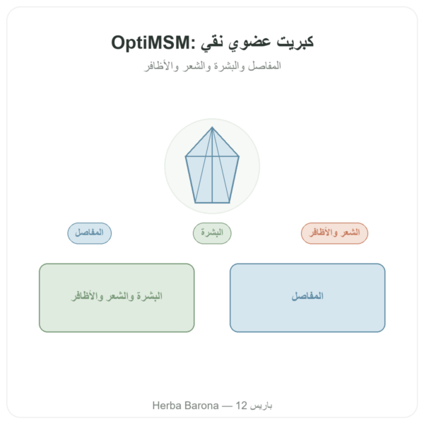OptiMSM® – 750 ملغ / 180 كبسولة – Dynveo عرض المنتج Paris Herba Barona