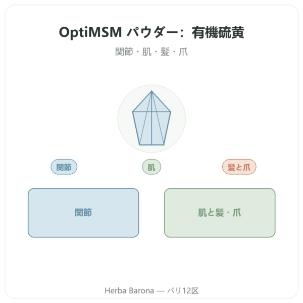 OPTIMSM 純粋パウダー 250 g – Dynveo presentation Paris Herba Barona