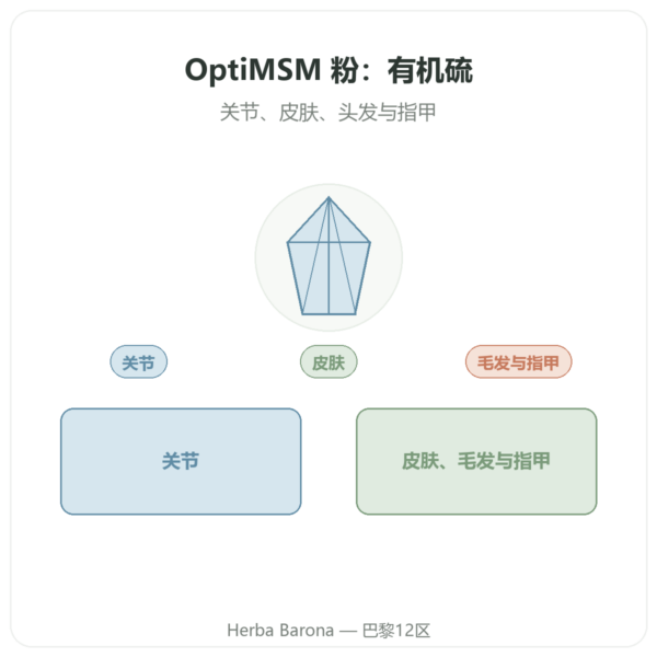 OPTIMSM 纯粉 250 g – Dynveo 产品展示 Paris Herba Barona