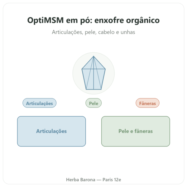 OptiMSM em pó puro 250 g – Dynveo apresentação Paris Herba Barona