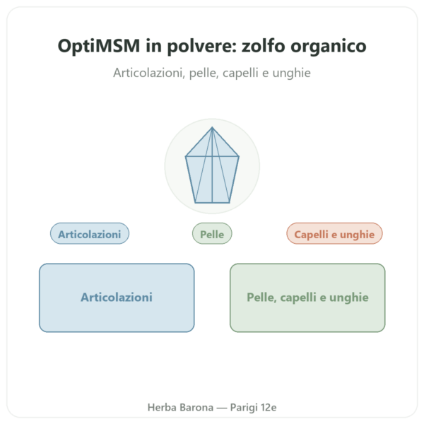 OptiMSM in polvere pura 250 g – Dynveo presentazione Paris Herba Barona