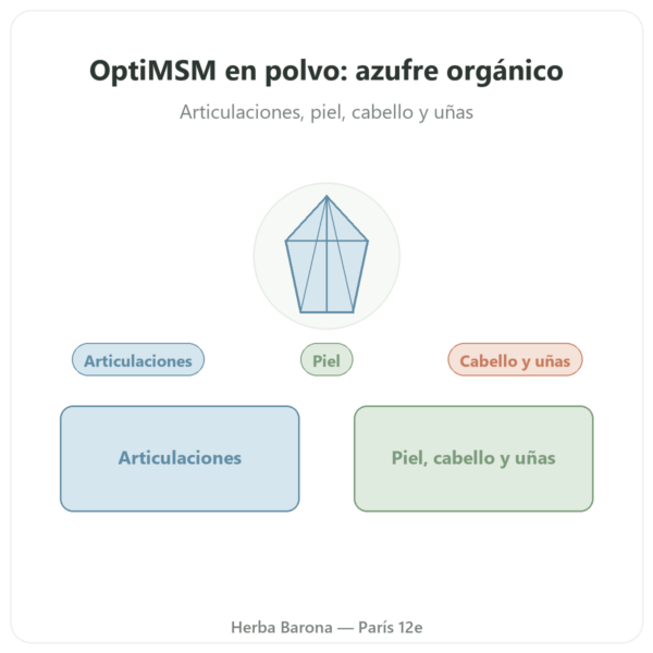 OptiMSM en polvo puro 250 g – Dynveo presentación Paris Herba Barona