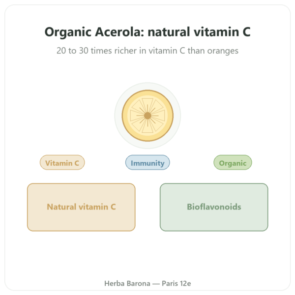 Organic Acerola 500mg - 60 capsules - Dynveo presentation Paris Herba Barona