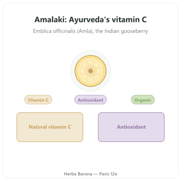 Organic Amalaki – Ayur-vana – 60 Capsules presentation Paris Herba Barona