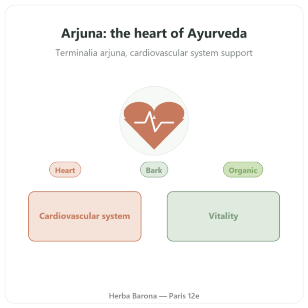Organic Arjuna - Ayur-vana - 60 capsules presentation Paris Herba Barona