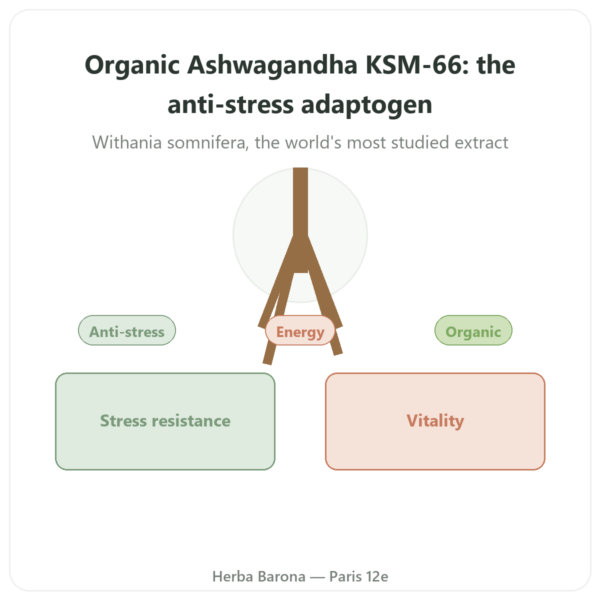 Organic Ashwagandha KSM-66® 5% Withanolides – Dynveo – 60 Capsules presentation Paris Herba Barona