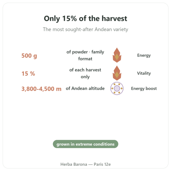 Organic Black Maca Powder – Energy Feelings – 500g benefits and key facts Paris Herba Barona