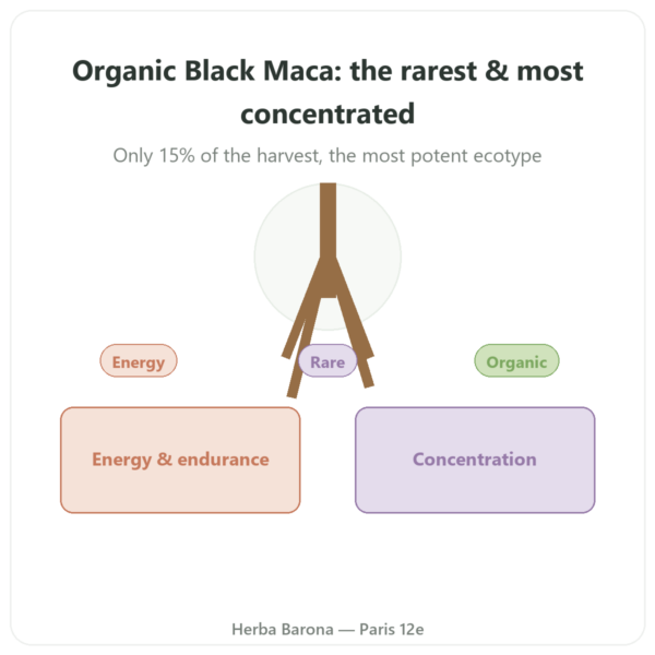Organic Black Maca Powder – Pederoso – Saldac – 250g presentation Paris Herba Barona