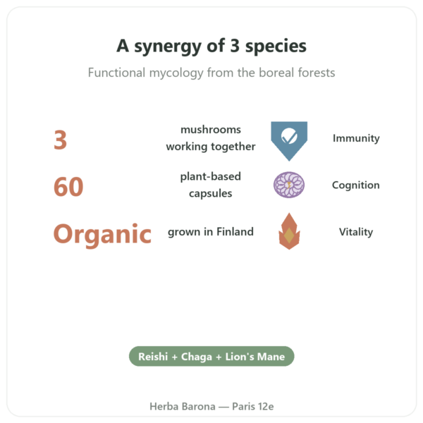 Organic Boostalife - SIHO - 60 Capsules (Reishi, Chaga, Lion's Mane) benefits and key facts Paris Herba Barona