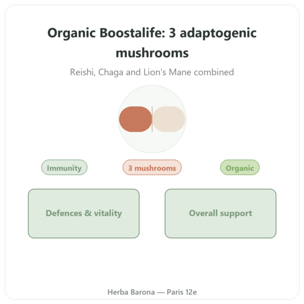 Organic Boostalife - SIHO - 60 Capsules (Reishi, Chaga, Lion's Mane) presentation Paris Herba Barona