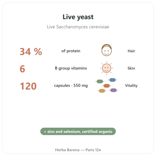 Organic Brewer's Yeast – Dynveo – 120 capsules – 550 mg benefits and key facts Paris Herba Barona