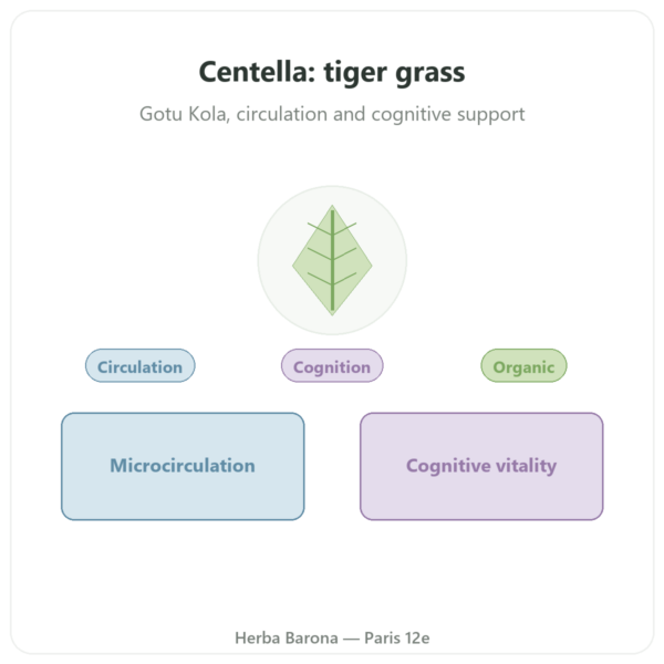 Organic Centella Asiatica (Gotu Kola) – Ayur-vana – 60 capsules presentation Paris Herba Barona