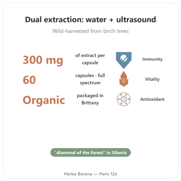 Organic Chaga - SIHO - 60 Capsules benefits and key facts Paris Herba Barona