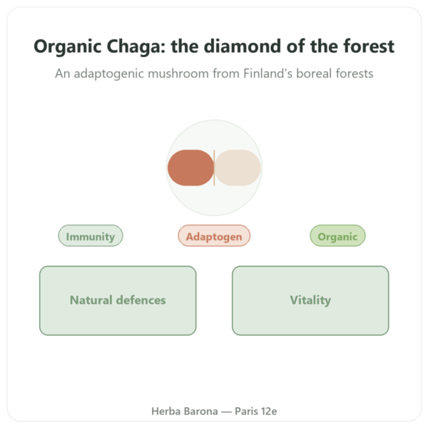 Organic Chaga - SIHO - 60 Capsules presentation Paris Herba Barona