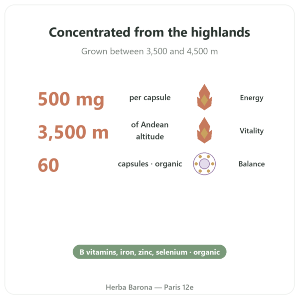 Organic Concentrated Maca 500mg - Dynveo - 60 capsules benefits and key facts Paris Herba Barona