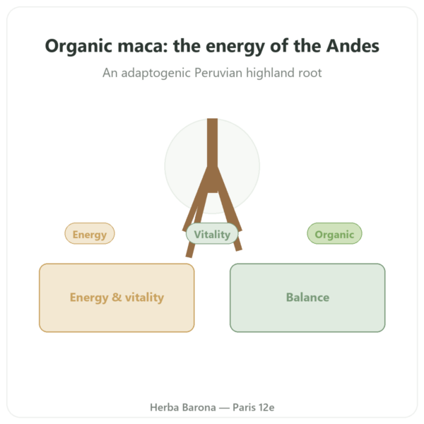 Organic Concentrated Maca 500mg - Dynveo - 60 capsules presentation Paris Herba Barona