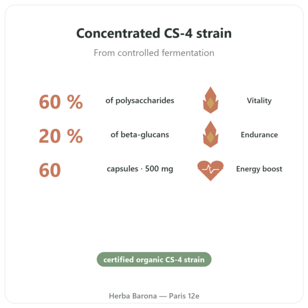Organic Concentrated Cordyceps – CS-4 Strain – Dynveo – 60 capsules benefits and key facts Paris Herba Barona