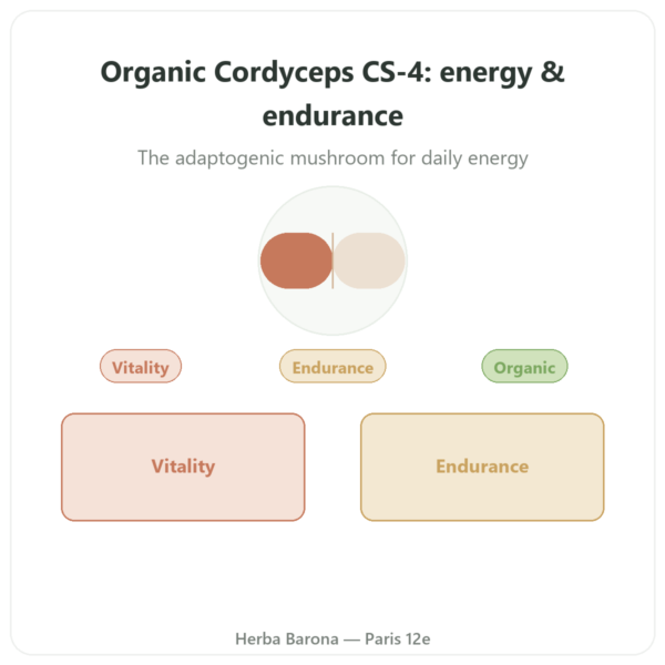 Organic Concentrated Cordyceps – CS-4 Strain – Dynveo – 60 capsules presentation Paris Herba Barona