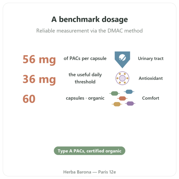 Organic Cranberry – Dynveo – 56 mg PACs – 60 capsules benefits and key facts Paris Herba Barona