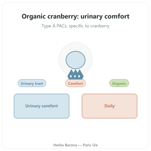 Organic Cranberry – Dynveo – 56 mg PACs – 60 capsules presentation Paris Herba Barona