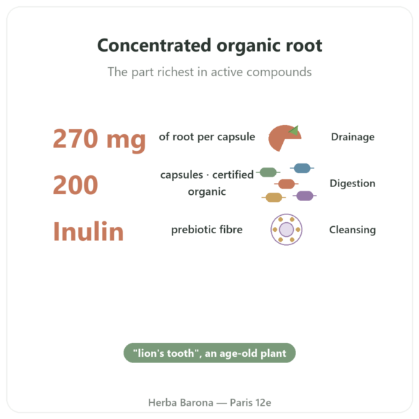 Organic Dandelion Root – Neodiet – 200 capsules benefits and key facts Paris Herba Barona