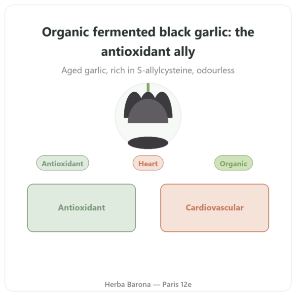 Organic Fermented Black Garlic - Dynveo - 60 Capsules presentation Paris Herba Barona