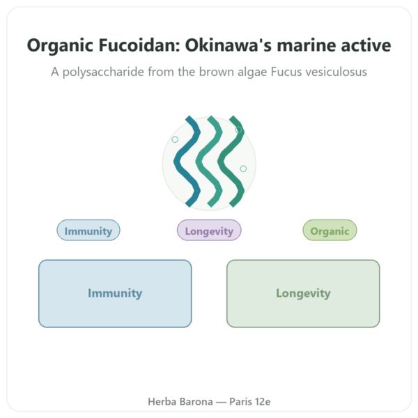 Organic Fucoidan - Dynveo - 250mg - 60 Capsules presentation Paris Herba Barona