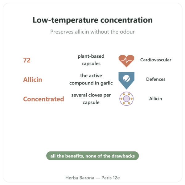 Organic Garlic Concentrate – Revit'Ail – 72 Capsules – Vecteur Santé benefits and key facts Paris Herba Barona