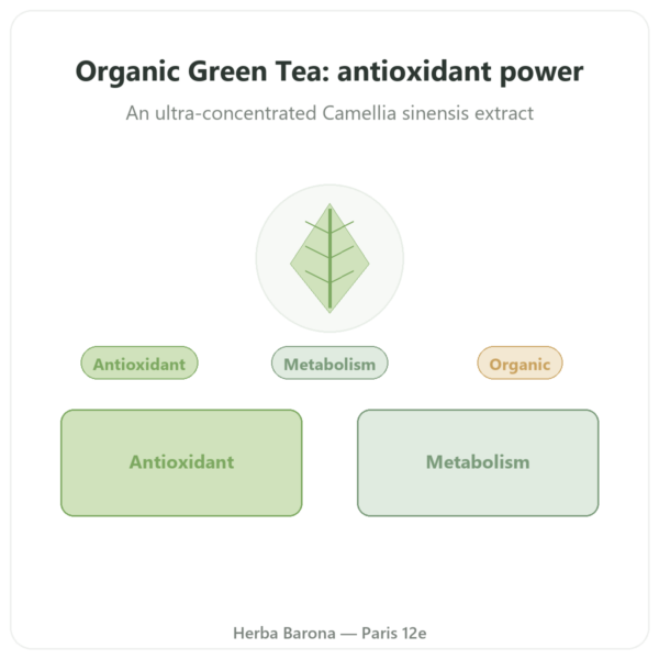 Organic Green Tea Extract – 60 Capsules 500mg 90% Polyphenols – Dynveo presentation Paris Herba Barona