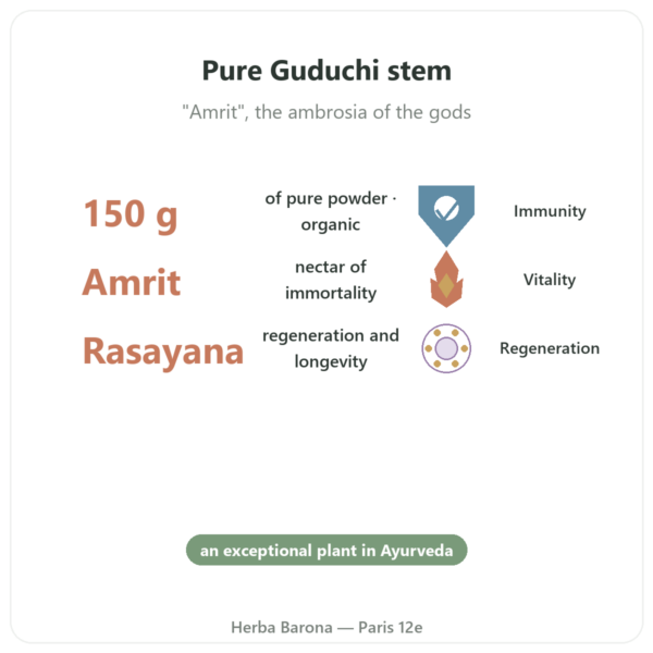 Organic Guduchi Powder – 150 g – Ayur-vana benefits and key facts Paris Herba Barona