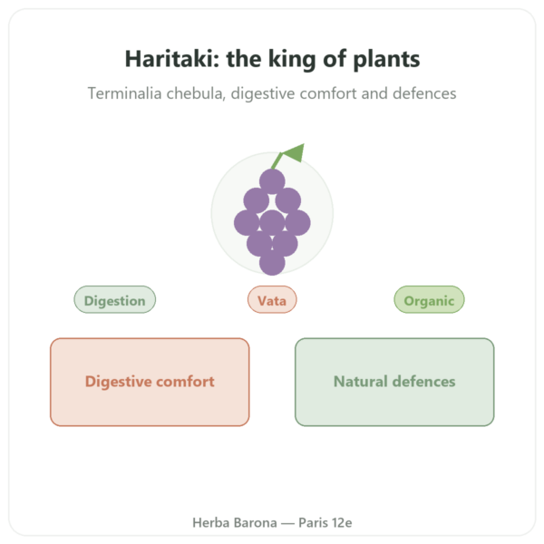 Organic Haritaki Powder – 150 g – Ayur-vana presentation Paris Herba Barona