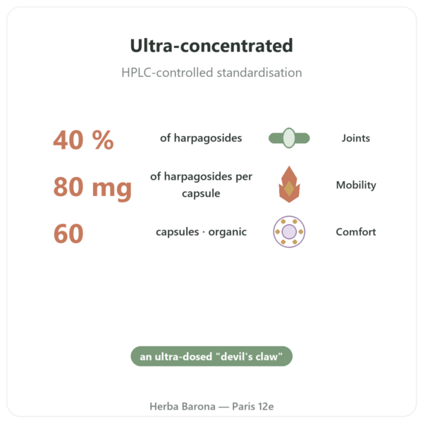 Organic Harpagophytum – 60 capsules – Dynveo Ultra-Dosed benefits and key facts Paris Herba Barona