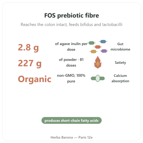 Organic Inulin Pure Powder – Now Foods – 227 g – Prebiotic benefits and key facts Paris Herba Barona