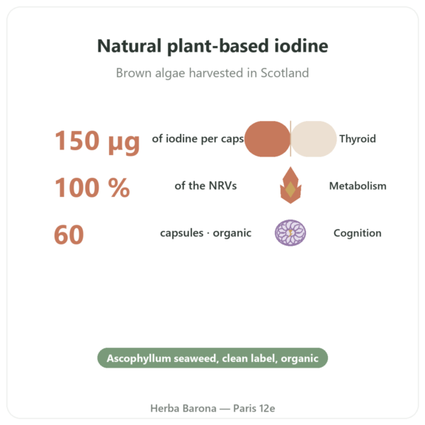 Organic Kelp Iodine – Dynveo – 150µg – 60 Capsules benefits and key facts Paris Herba Barona
