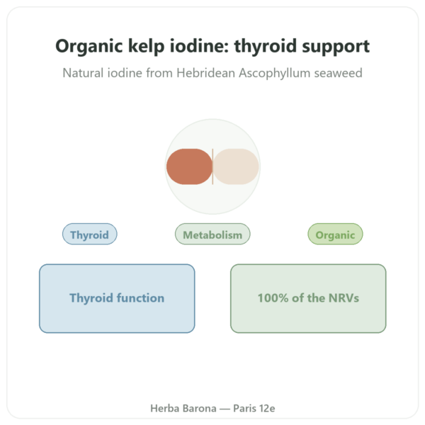 Organic Kelp Iodine – Dynveo – 150µg – 60 Capsules presentation Paris Herba Barona