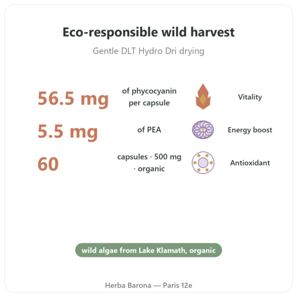 Organic Klamath Algae (AFA) – Dynveo – DLT Hydro Dri® – 500mg / 60 Capsules benefits and key facts Paris Herba Barona