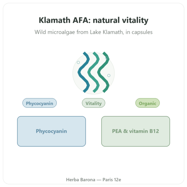 Organic Klamath Algae (AFA) – Dynveo – DLT Hydro Dri® – 500mg / 60 Capsules presentation Paris Herba Barona