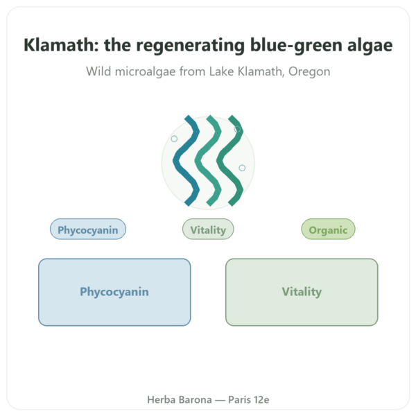 Organic Klamath Powder 150g - Dynveo presentation Paris Herba Barona