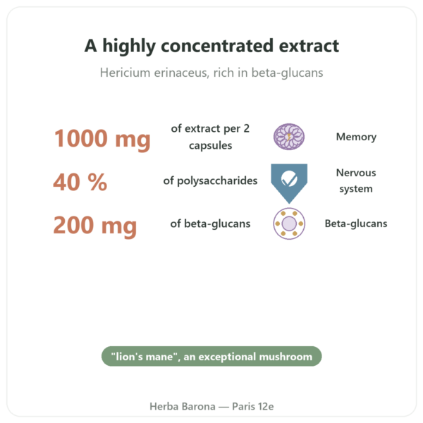 Organic Lion's Mane (Hericium) Extract 500mg - 60 Capsules benefits and key facts Paris Herba Barona
