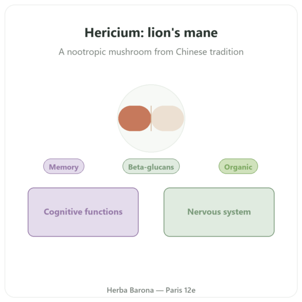Organic Lion's Mane (Hericium) Extract 500mg - 60 Capsules presentation Paris Herba Barona