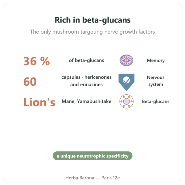 Organic Lion's Mane - SIHO - 60 Capsules benefits and key facts Paris Herba Barona