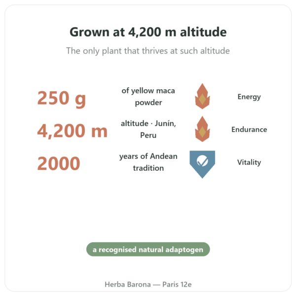 Organic Maca Powder – Pederoso – Saldac – 250g benefits and key facts Paris Herba Barona