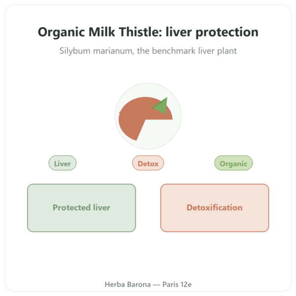 Organic Milk Thistle 200mg - Dynveo - 60 capsules presentation Paris Herba Barona