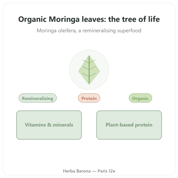 Organic Moringa Leaves – 60g presentation Paris Herba Barona