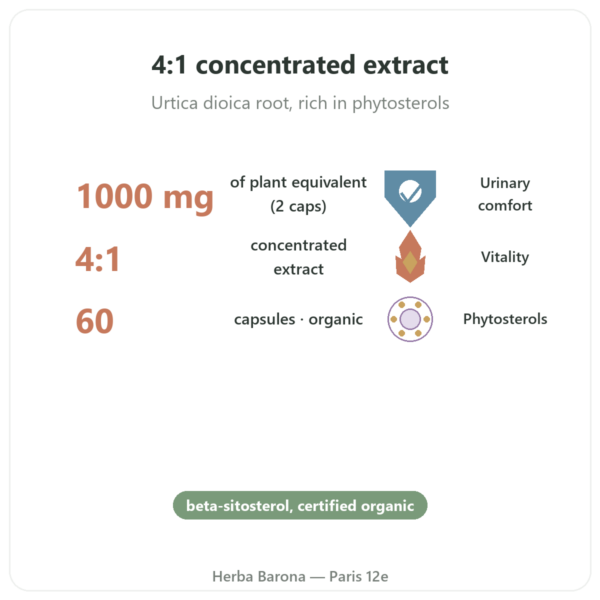 Organic Nettle Root Extract 4:1 - Dynveo - 60 capsules benefits and key facts Paris Herba Barona