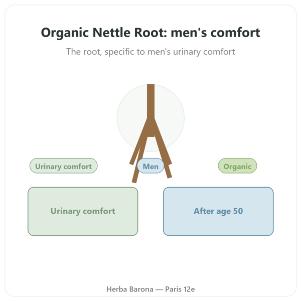 Organic Nettle Root Extract 4:1 - Dynveo - 60 capsules presentation Paris Herba Barona