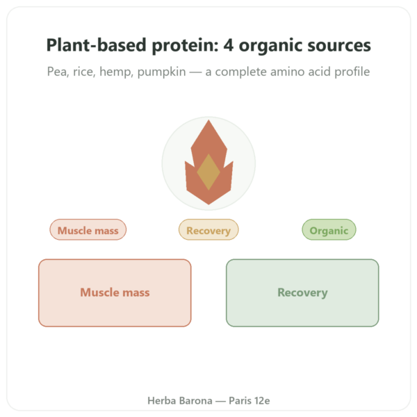 Organic Plant Protein - Dynveo - 500g presentation Paris Herba Barona