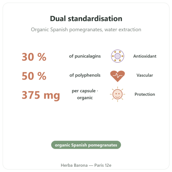 Organic Pomegranate Extract – Dynveo – 375mg – 60 capsules – 30% Punicalagins benefits and key facts Paris Herba Barona