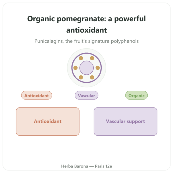 Organic Pomegranate Extract – Dynveo – 375mg – 60 capsules – 30% Punicalagins presentation Paris Herba Barona